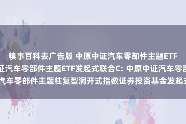 糗事百科去广告版 中原中证汽车零部件主题ETF发起式联合A,中原中证汽车零部件主题ETF发起式联合C: 中原中证汽车零部件主题往复型洞开式指数证券投资基金发起式联合基金基金合同