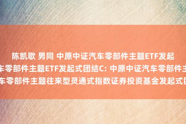 陈凯歌 男同 中原中证汽车零部件主题ETF发起式团结A,中原中证汽车零部件主题ETF发起式团结C: 中原中证汽车零部件主题往来型灵通式指数证券投资基金发起式团结基金托管条约