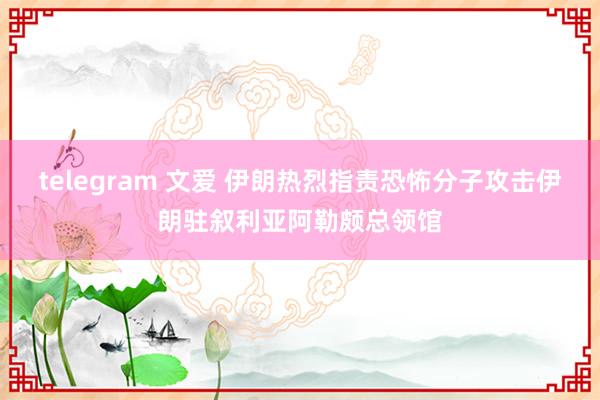 telegram 文爱 伊朗热烈指责恐怖分子攻击伊朗驻叙利亚阿勒颇总领馆