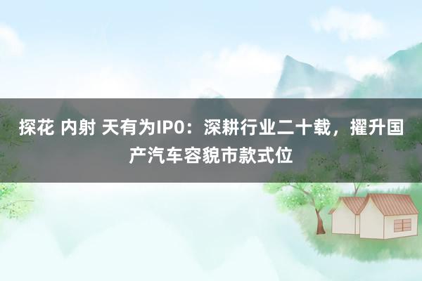 探花 内射 天有为IP0：深耕行业二十载，擢升国产汽车容貌市款式位