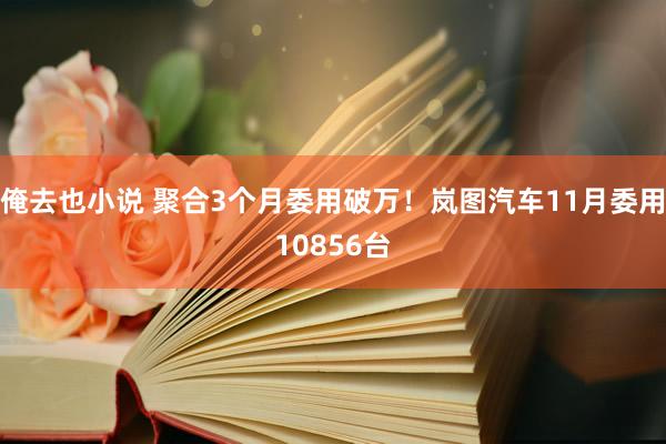 俺去也小说 聚合3个月委用破万！岚图汽车11月委用10856台