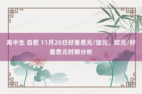 高中生 自慰 11月20日好意思元/加元、欧元/好意思元时期分析