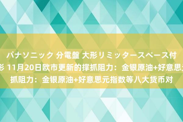 パナソニック 分電盤 大形リミッタースペース付 露出・半埋込両用形 11月20日欧市更新的撑抓阻力：金银原油+好意思元指数等八大货币对