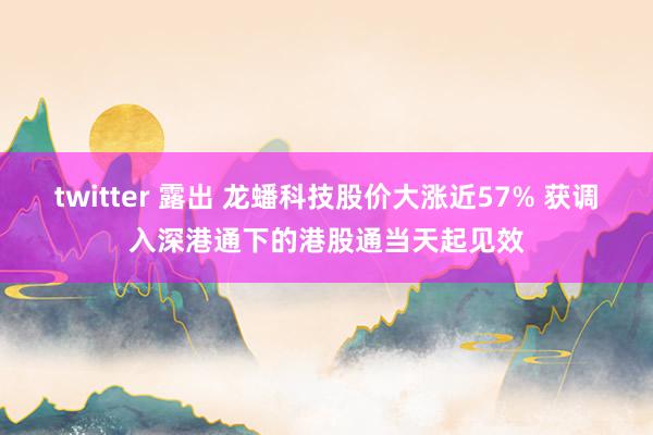 twitter 露出 龙蟠科技股价大涨近57% 获调入深港通下的港股通当天起见效