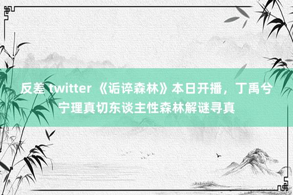 反差 twitter 《诟谇森林》本日开播，丁禹兮宁理真切东谈主性森林解谜寻真