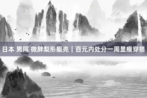 日本 男同 微胖梨形躯壳｜百元内处分一周显瘦穿搭