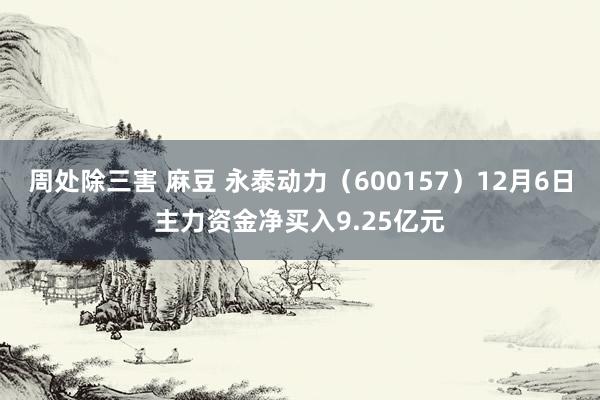 周处除三害 麻豆 永泰动力（600157）12月6日主力资金净买入9.25亿元