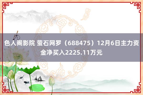 色人阁影院 萤石网罗（688475）12月6日主力资金净买入2225.11万元