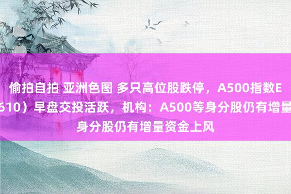 偷拍自拍 亚洲色图 多只高位股跌停，A500指数ETF（560610）早盘交投活跃，机构：A500等身分股仍有增量资金上风