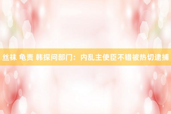 丝袜 龟责 韩探问部门：内乱主使臣不错被热切逮捕