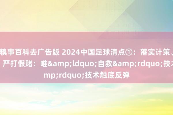 糗事百科去广告版 2024中国足球清点①：落实计策、修订惩办、严打假赌：唯&ldquo;自救&rdquo;技术触底反弹