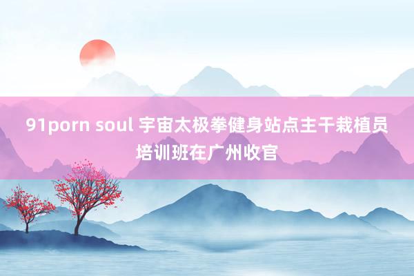 91porn soul 宇宙太极拳健身站点主干栽植员培训班在广州收官