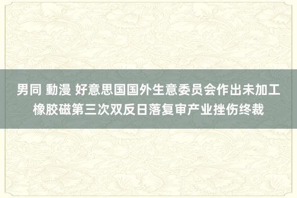 男同 動漫 好意思国国外生意委员会作出未加工橡胶磁第三次双反日落复审产业挫伤终裁