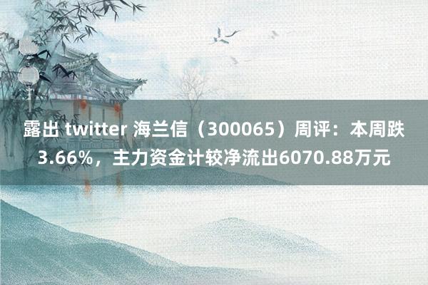 露出 twitter 海兰信（300065）周评：本周跌3.66%，主力资金计较净流出6070.88万元