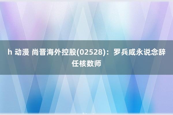 h 动漫 尚晋海外控股(02528)：罗兵咸永说念辞任核数师