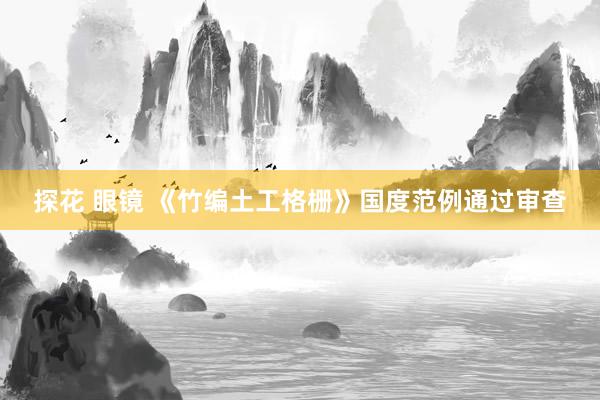 探花 眼镜 《竹编土工格栅》国度范例通过审查