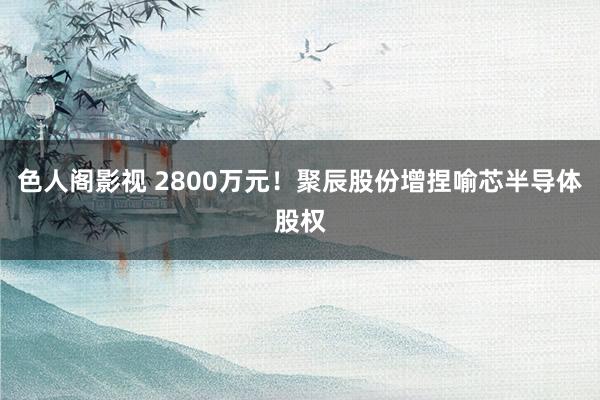 色人阁影视 2800万元！聚辰股份增捏喻芯半导体股权