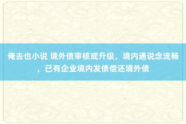 俺去也小说 境外债审核或升级，境内通说念流畅，已有企业境内发债偿还境外债