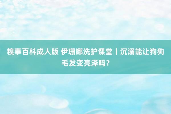 糗事百科成人版 伊珊娜洗护课堂丨沉溺能让狗狗毛发变亮泽吗？