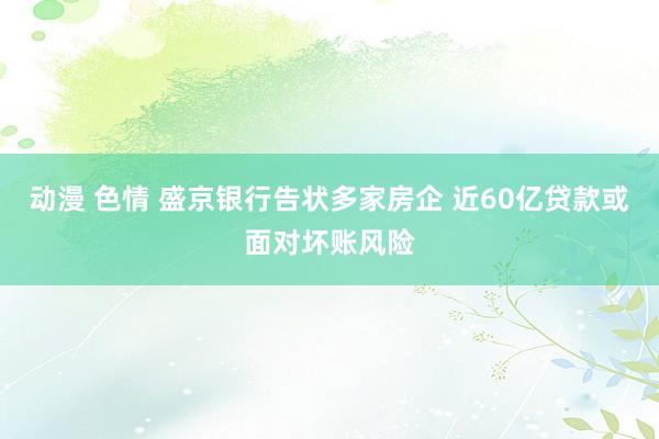 动漫 色情 盛京银行告状多家房企 近60亿贷款或面对坏账风险