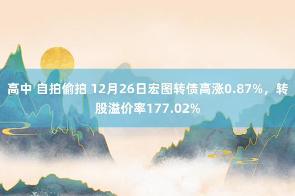 高中 自拍偷拍 12月26日宏图转债高涨0.87%，转股溢价率177.02%