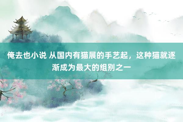 俺去也小说 从国内有猫展的手艺起，这种猫就逐渐成为最大的组别之一