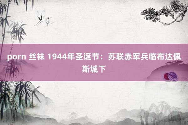 porn 丝袜 1944年圣诞节：苏联赤军兵临布达佩斯城下