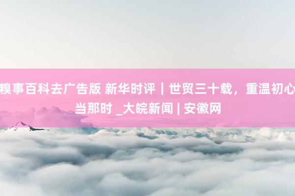 糗事百科去广告版 新华时评｜世贸三十载，重温初心当那时 _大皖新闻 | 安徽网