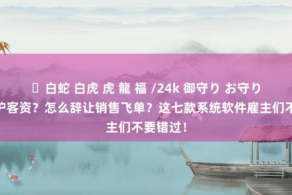 ✨白蛇 白虎 虎 龍 福 /24k 御守り お守り 怎么保护客资？怎么辞让销售飞单？这七款系统软件雇主们不要错过！