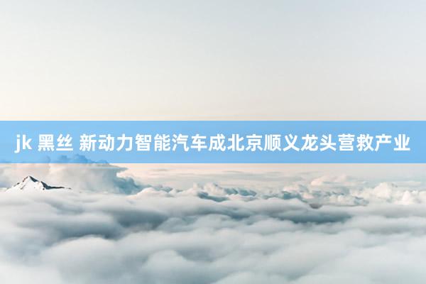 jk 黑丝 新动力智能汽车成北京顺义龙头营救产业