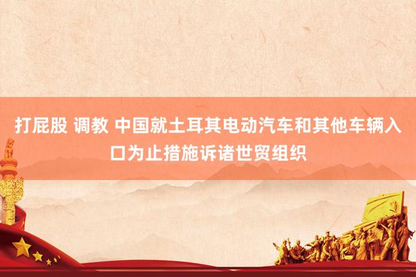 打屁股 调教 中国就土耳其电动汽车和其他车辆入口为止措施诉诸世贸组织