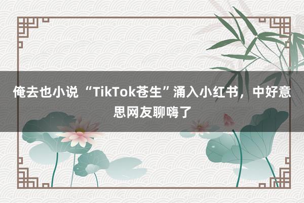 俺去也小说 “TikTok苍生”涌入小红书，中好意思网友聊嗨了