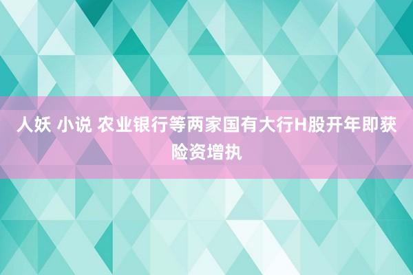 人妖 小说 农业银行等两家国有大行H股开年即获险资增执