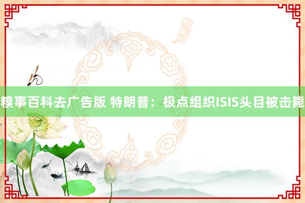 糗事百科去广告版 特朗普：极点组织ISIS头目被击毙