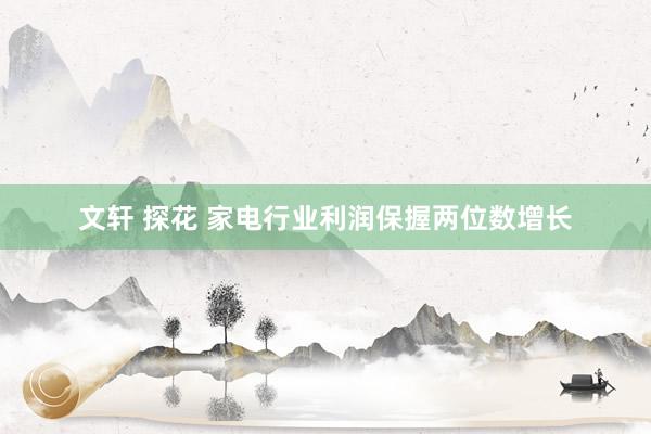 文轩 探花 家电行业利润保握两位数增长