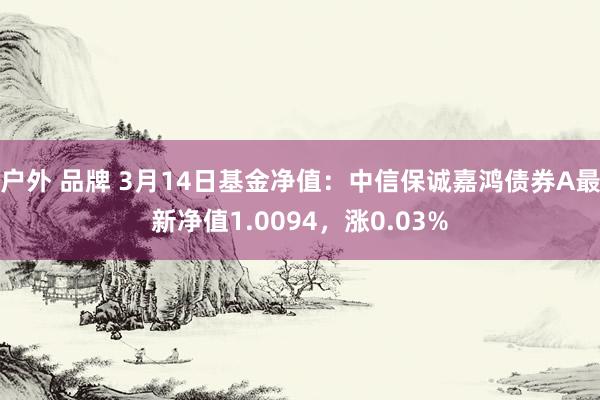 户外 品牌 3月14日基金净值：中信保诚嘉鸿债券A最新净值1.0094，涨0.03%