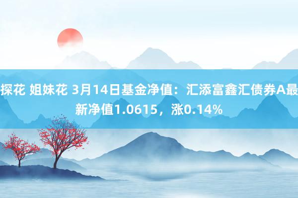 探花 姐妹花 3月14日基金净值：汇添富鑫汇债券A最新净值1.0615，涨0.14%