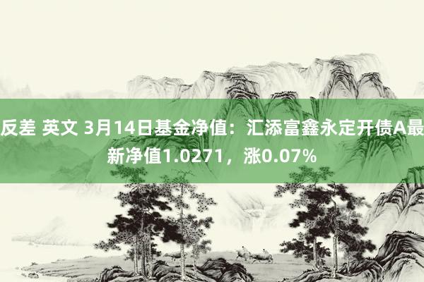 反差 英文 3月14日基金净值：汇添富鑫永定开债A最新净值1.0271，涨0.07%