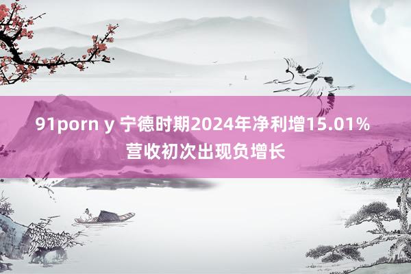 91porn y 宁德时期2024年净利增15.01% 营收初次出现负增长