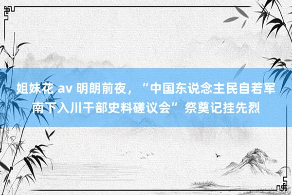 姐妹花 av 明朗前夜，“中国东说念主民自若军南下入川干部史料磋议会” 祭奠记挂先烈
