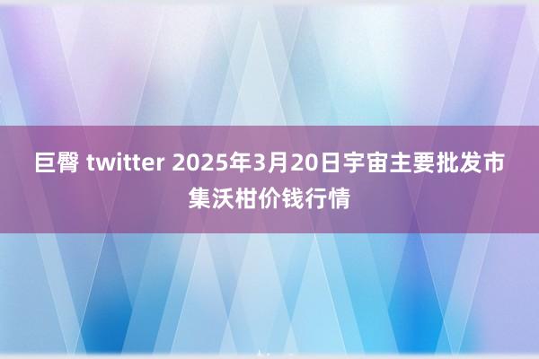 巨臀 twitter 2025年3月20日宇宙主要批发市集沃柑价钱行情