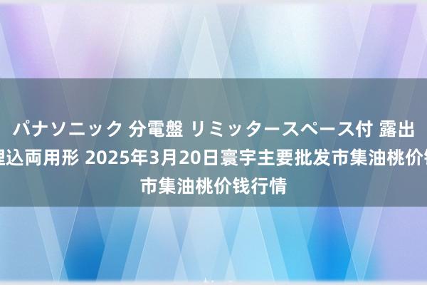パナソニック 分電盤 リミッタースペース付 露出・半埋込両用形 2025年3月20日寰宇主要批发市集油桃价钱行情