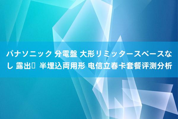 パナソニック 分電盤 大形リミッタースペースなし 露出・半埋込両用形 电信立春卡套餐评测分析