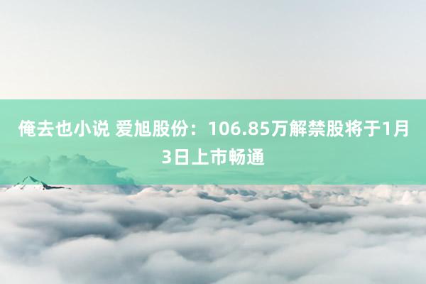 俺去也小说 爱旭股份：106.85万解禁股将于1月3日上市畅通
