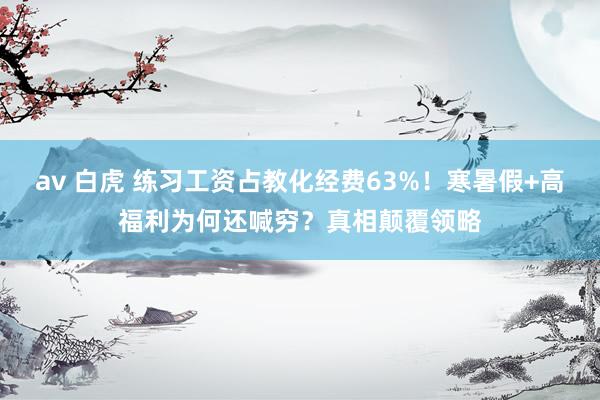 av 白虎 练习工资占教化经费63%！寒暑假+高福利为何还喊穷？真相颠覆领略
