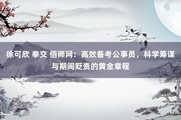徐可欣 拳交 佰师网：高效备考公事员，科学筹谋与期间贬责的黄金章程