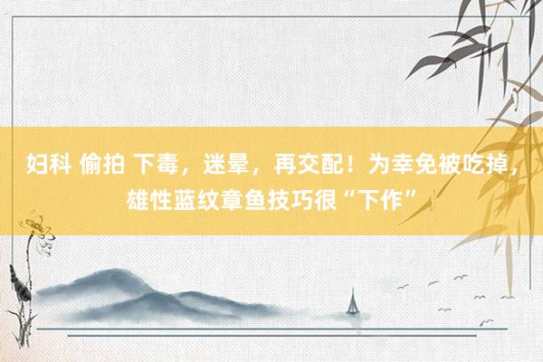 妇科 偷拍 下毒，迷晕，再交配！为幸免被吃掉，雄性蓝纹章鱼技巧很“下作”