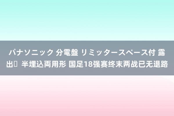 パナソニック 分電盤 リミッタースペース付 露出・半埋込両用形 国足18强赛终末两战已无退路