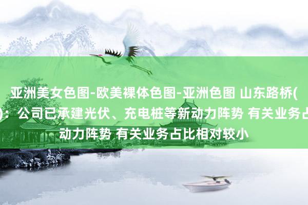 亚洲美女色图-欧美裸体色图-亚洲色图 山东路桥(000498.SZ)：公司已承建光伏、充电桩等新动力阵势 有关业务占比相对较小