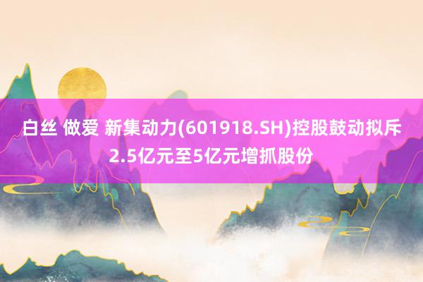 白丝 做爱 新集动力(601918.SH)控股鼓动拟斥2.5亿元至5亿元增抓股份